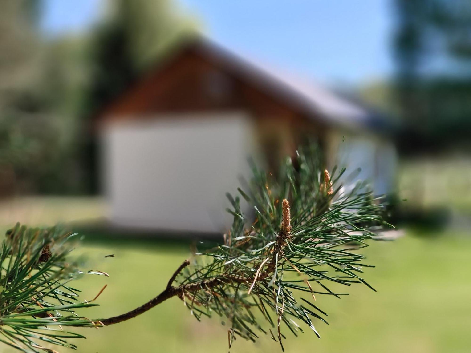 Chatki Lesniczego Bukowiec  Kültér fotó